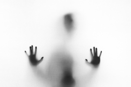 Photo by?Stefano Pollio?on?Unsplash