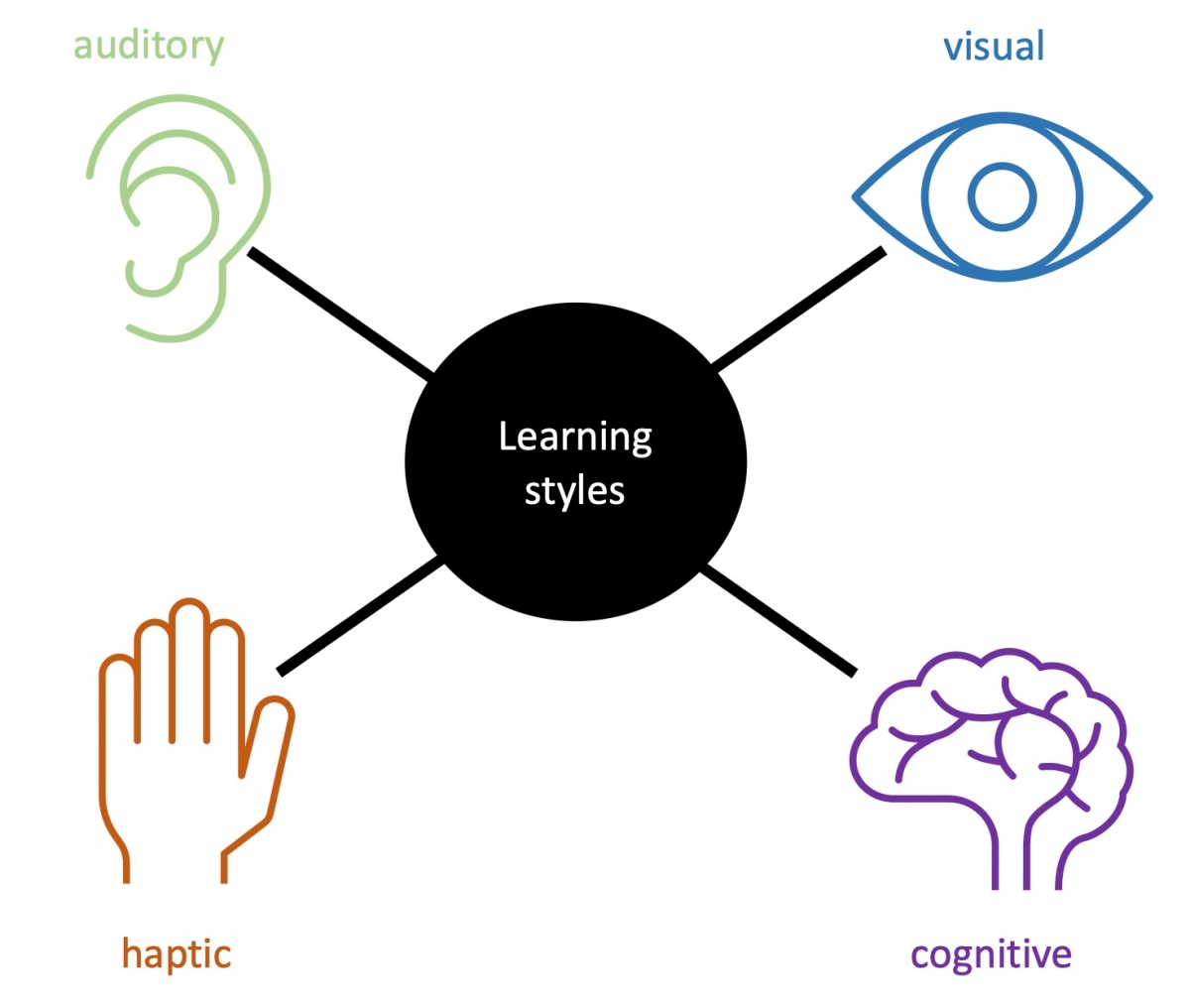 Figure 1: Overview of four frequently distinguished learning styles
