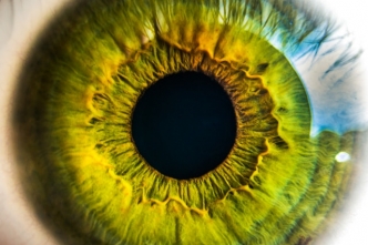 Eye - image from pexels.com CC0